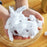 Reusable Elastic Food Storage Covers