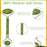 Jade Face Roller and Gua Sha Stone Set